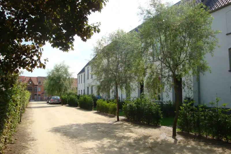 Mooie woning en gerestaureerd schoolgebouw foto {{pictureIndex}}