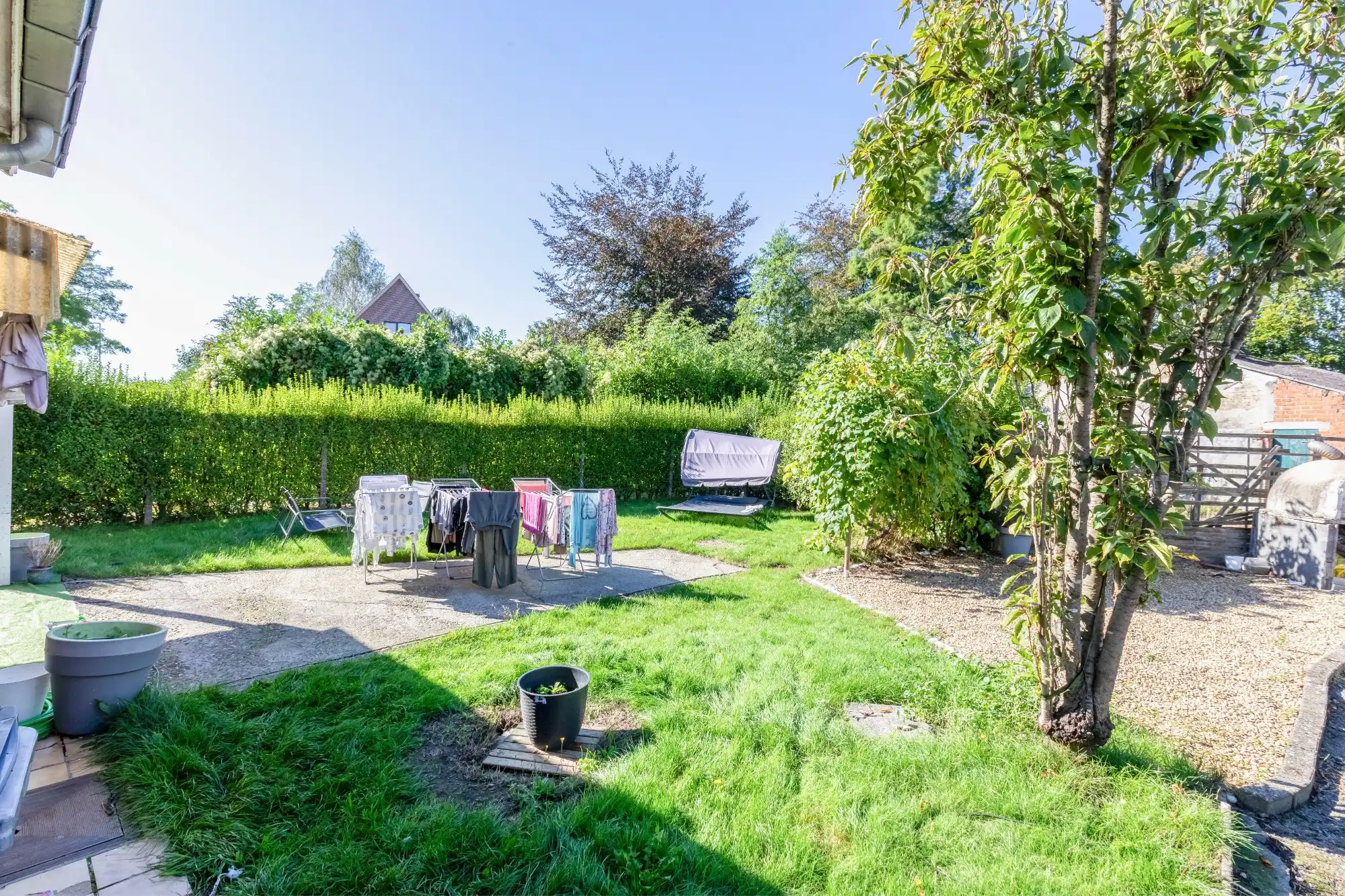 Voormalige hofstede met stallingen op perceel van 3016 m² dicht bij het centrum van Sint-Niklaas foto 5