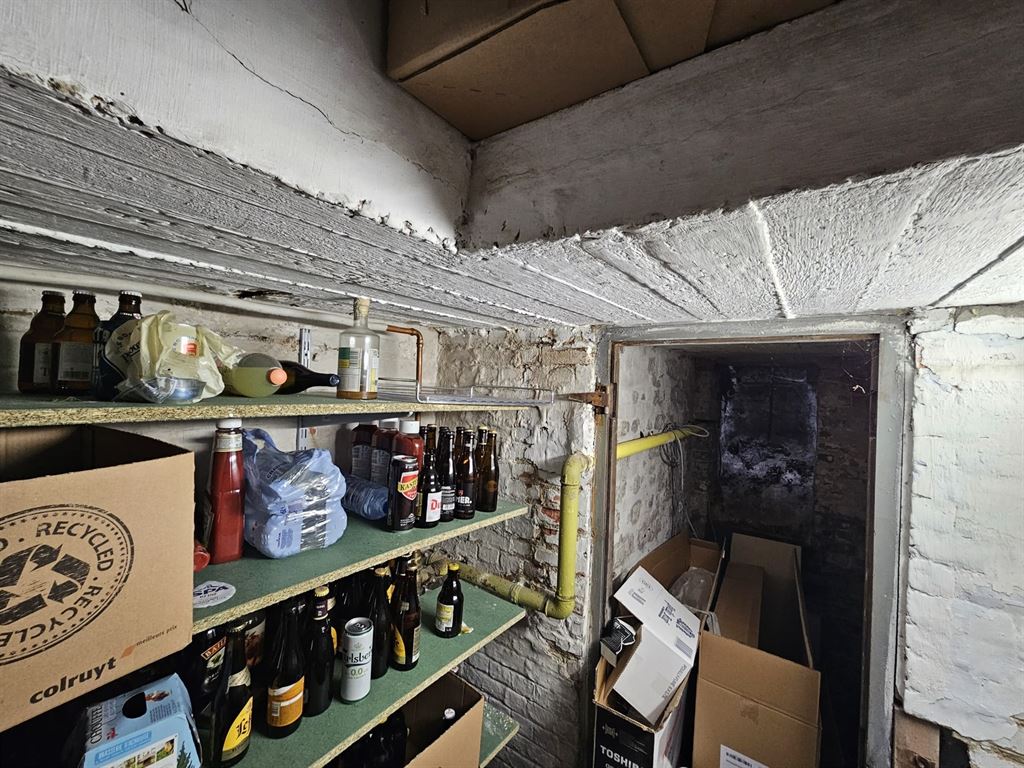 gerenoveerde woning geschikt voor co-housing foto 27