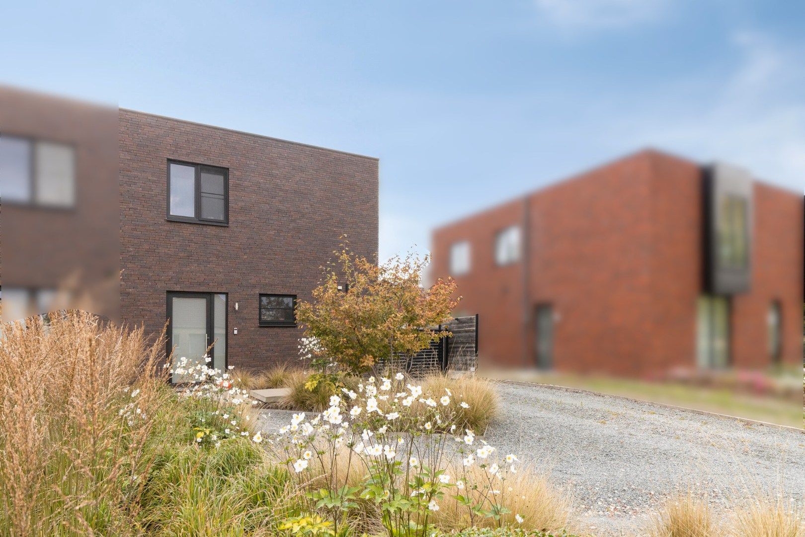 ()=>{if(producerUpdateValueVersion(node),producerAccessed(node),node.value===ERRORED)throw node.error;return node.value} Sint-Goriksstraat 79 - - 9620 Zottegem