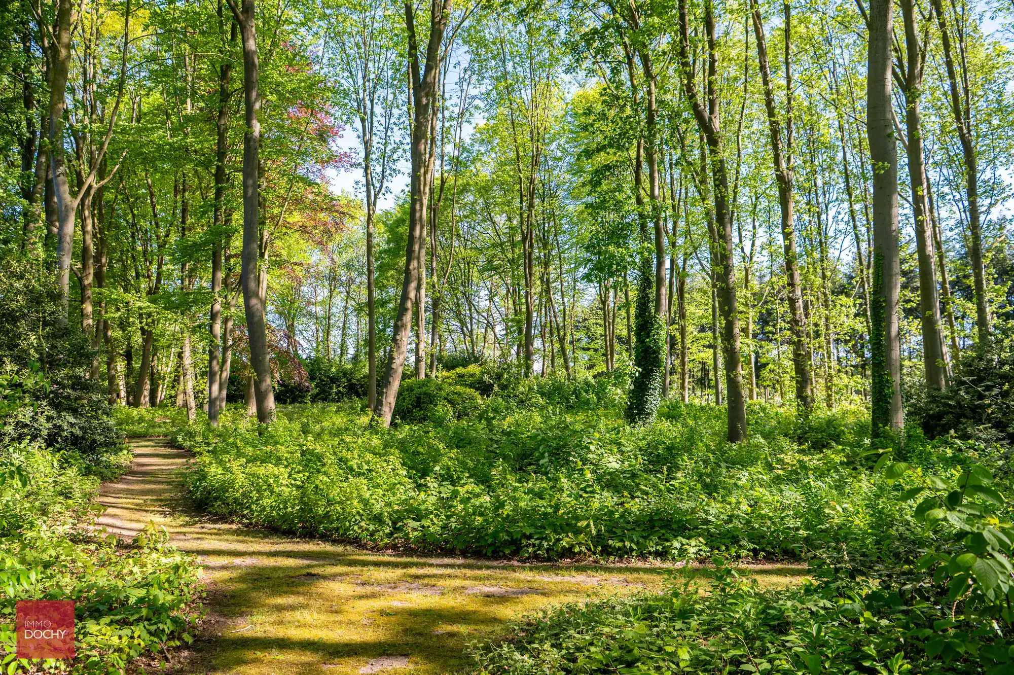 Uniek domein met ruime villa in prachtige parktuin op 2,7ha foto 23
