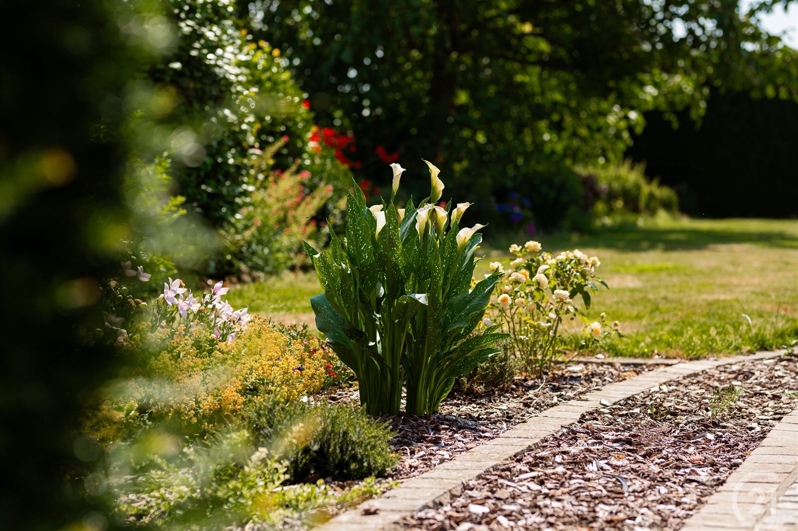 Villa met zuidgerichte tuin op 13are60 foto 5