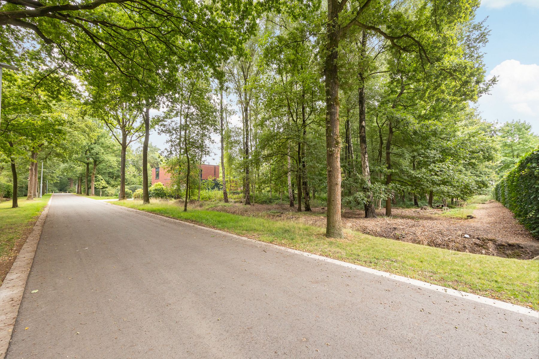 Een perceel bouwgrond voor open bebouwing van 6.132m² in een residentiële omgeving.  foto 3