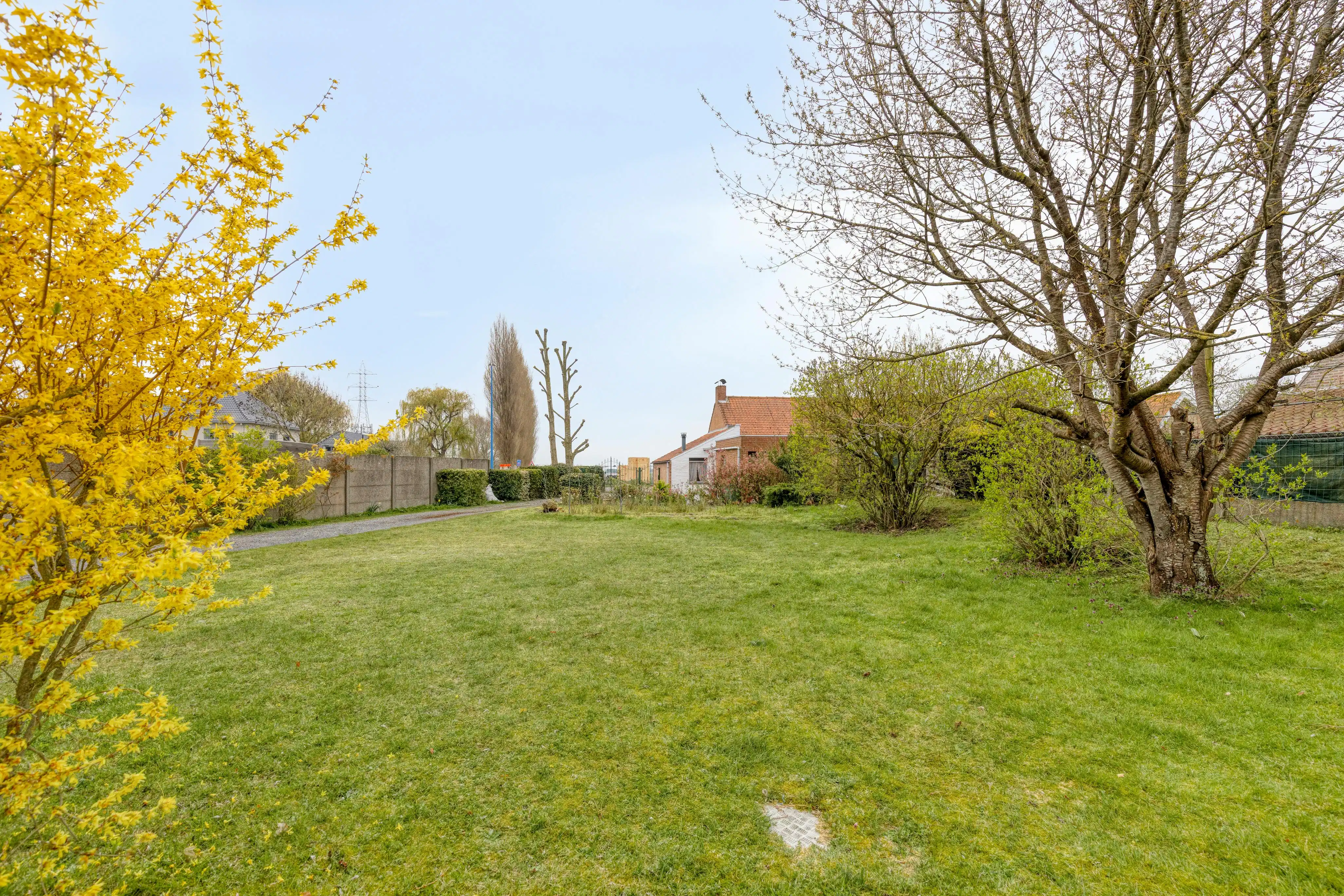 Woning met 4 slaapkamers op een perceel van 1087m² foto 2