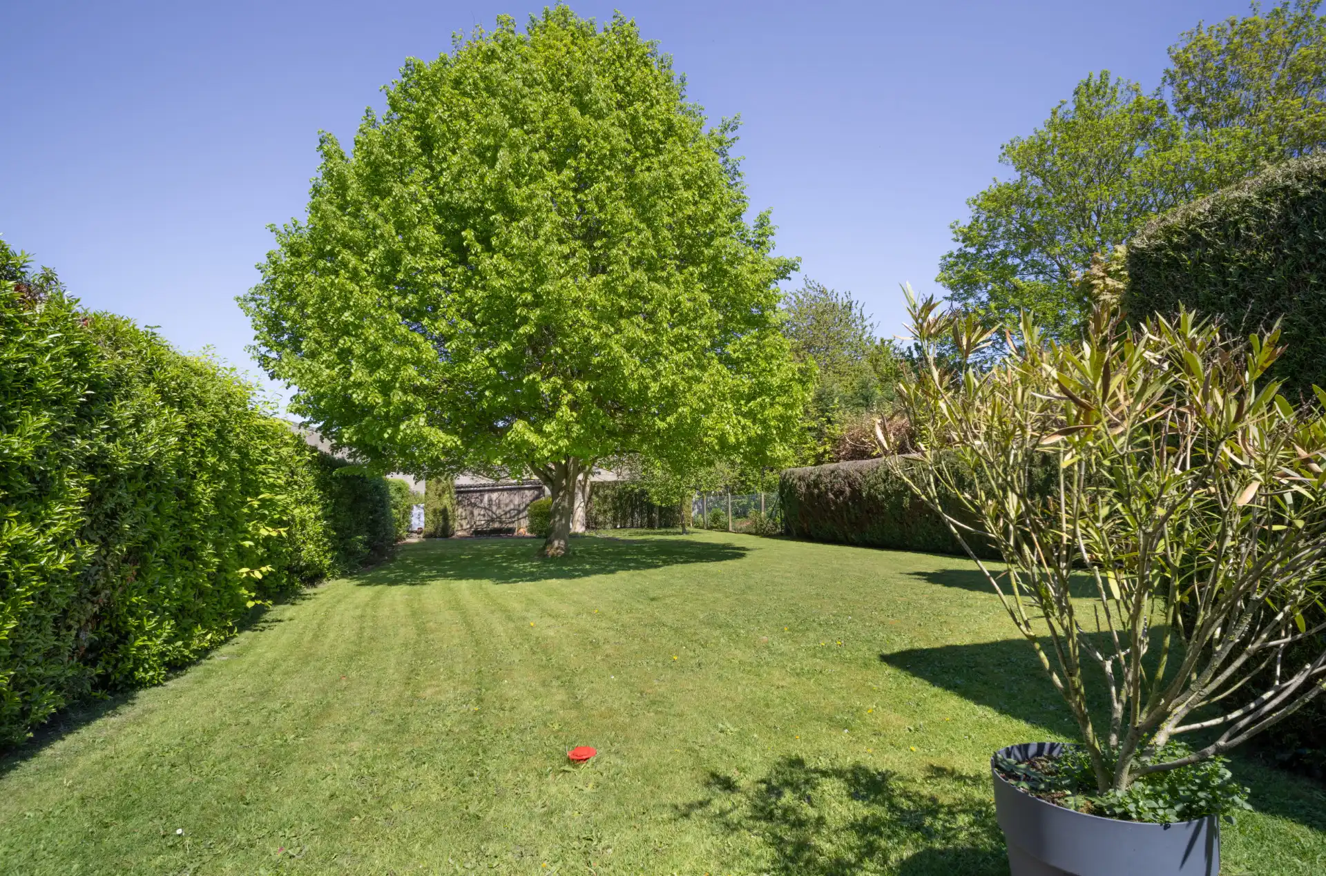 Rustig gelegen gezinswoning op 789m² foto 19