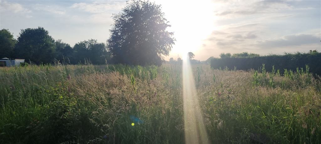 unieke bouwgrond 29a26ca met westgericht weidezicht foto 4