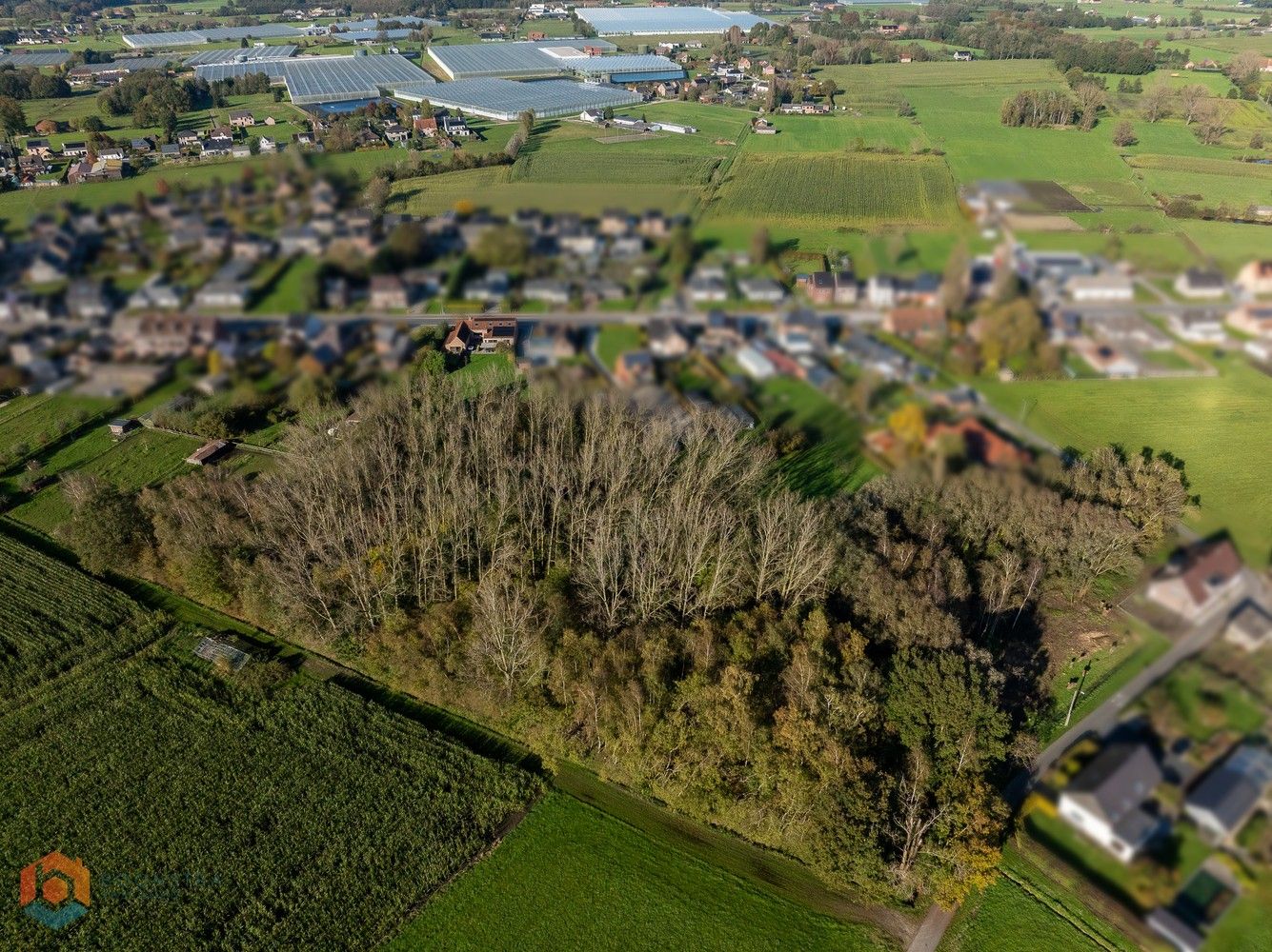 Hoeve op prachtig perceel met mogelijkheid vrij beroep en 5 slpkrs foto 4