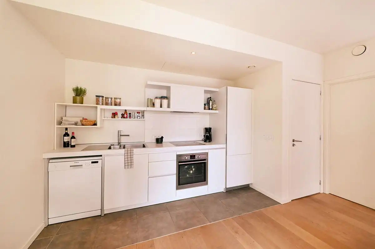 Lichtrijk appartement met terras op het Eilandje foto 5
