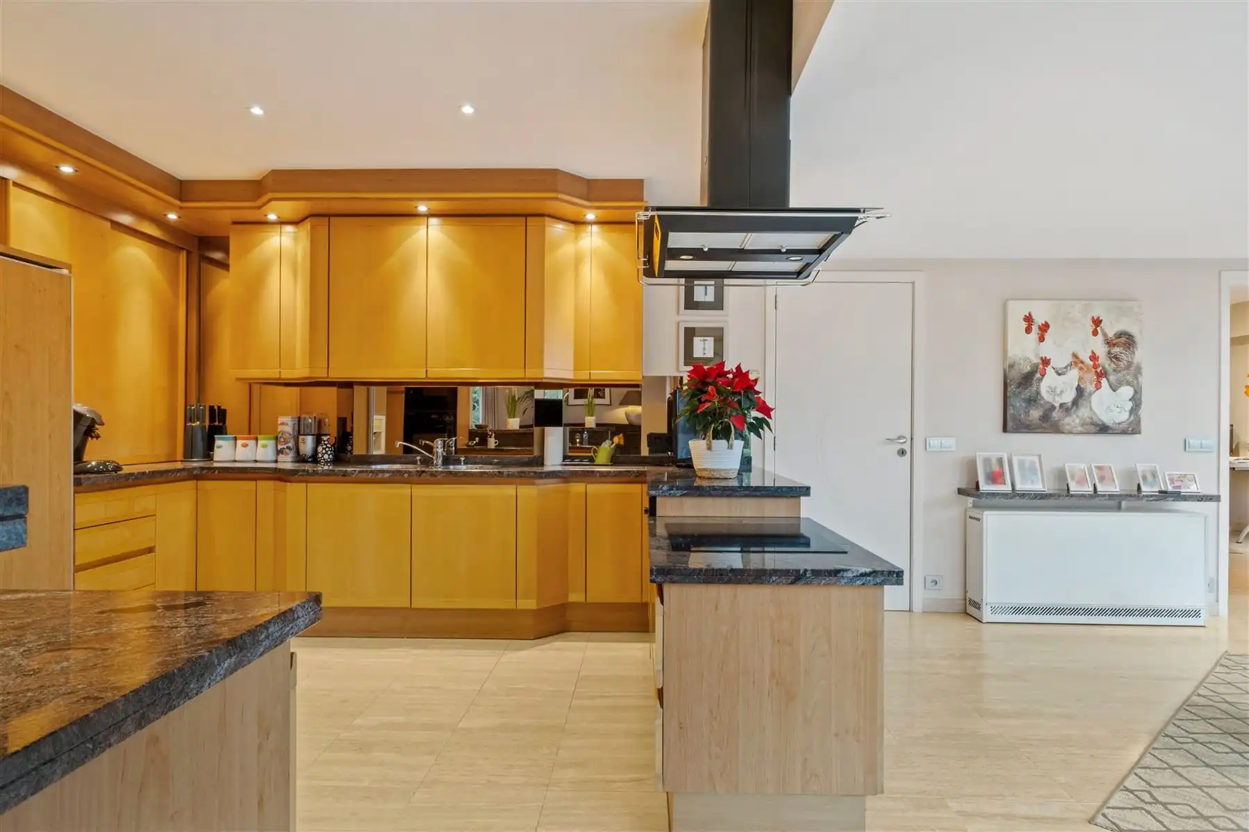 Instapklare en lichtrijke woning met zonnige tuin op 1.304 m² in Ingooigem foto 3