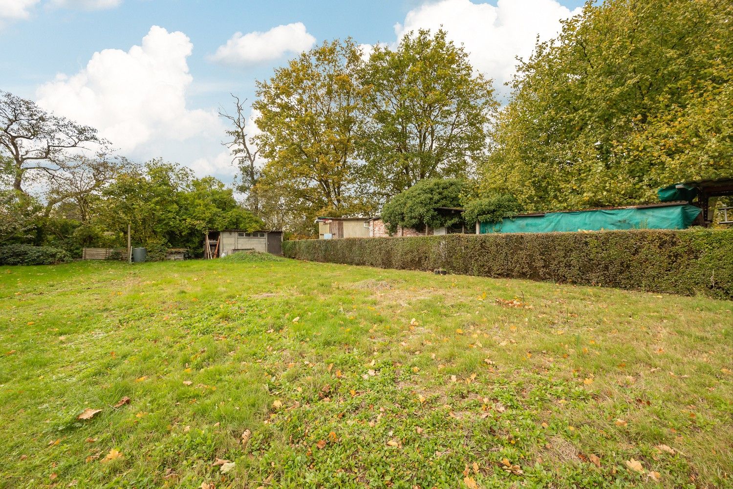 VERKOCHT Te renoveren halfopen bebouwing met zuidwestgerichte tuin in Hoogboom (Kapellen) foto 21