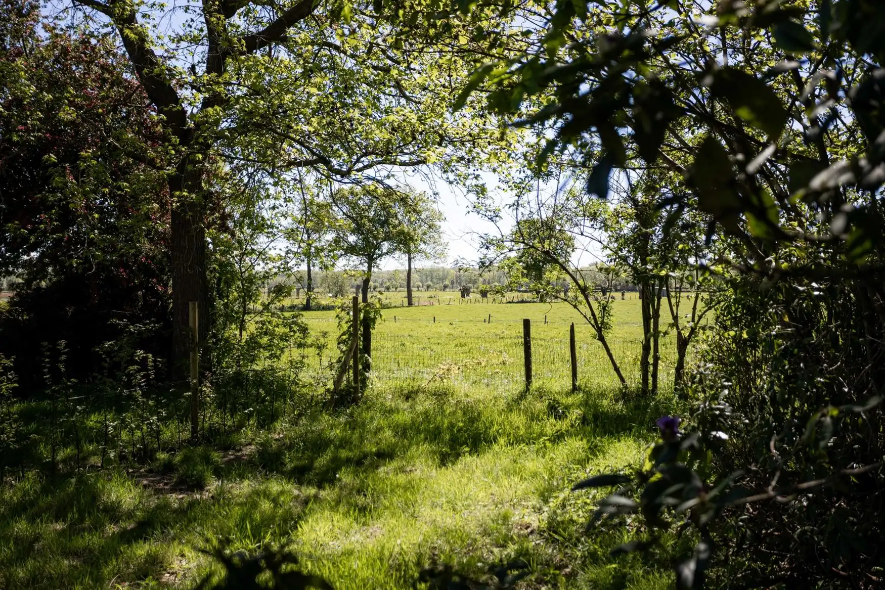 Verhuurde studio met private tuin en rendement in Aalter foto 6