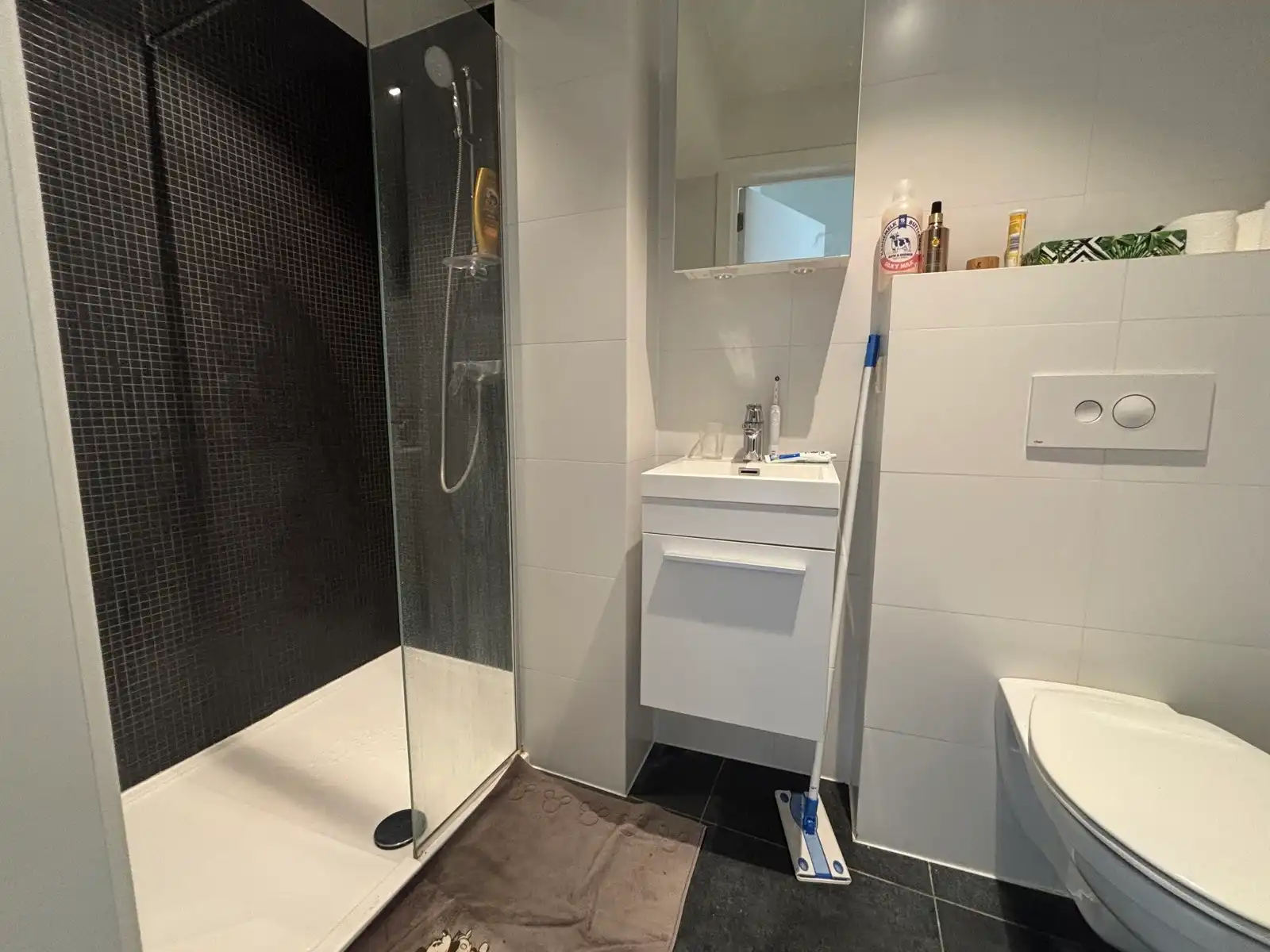 Kamer eigen sanitair en terras - Central Park  foto 4