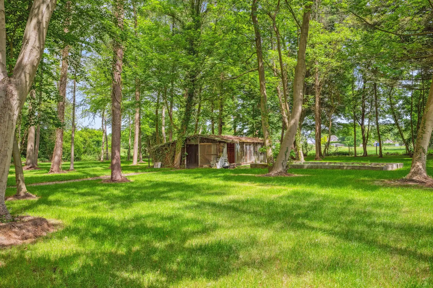 Landhuis in prachtige parktuin van 1ha te HALLAAR foto 17
