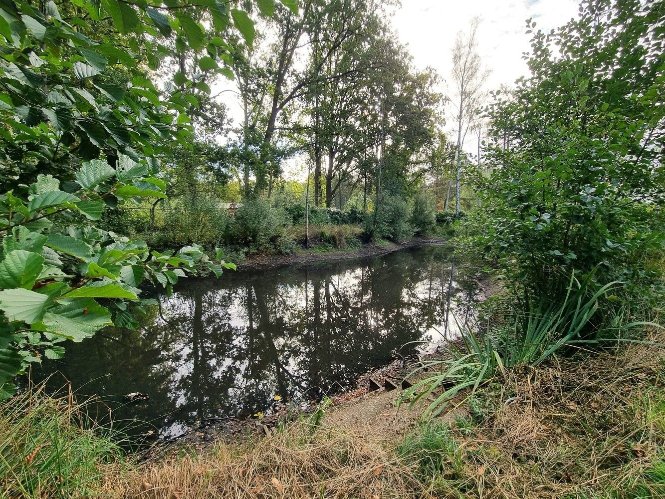 Vrijstaande woning temidden van het groen, 3 tot 4 slaapkamers, volledig vernieuwd foto 6