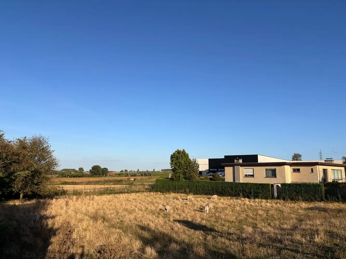 Bouwgrond van 859 m² in Kortrijk (Bellegem) - Landelijk wonen met vlotte bereikbaarheid foto 4