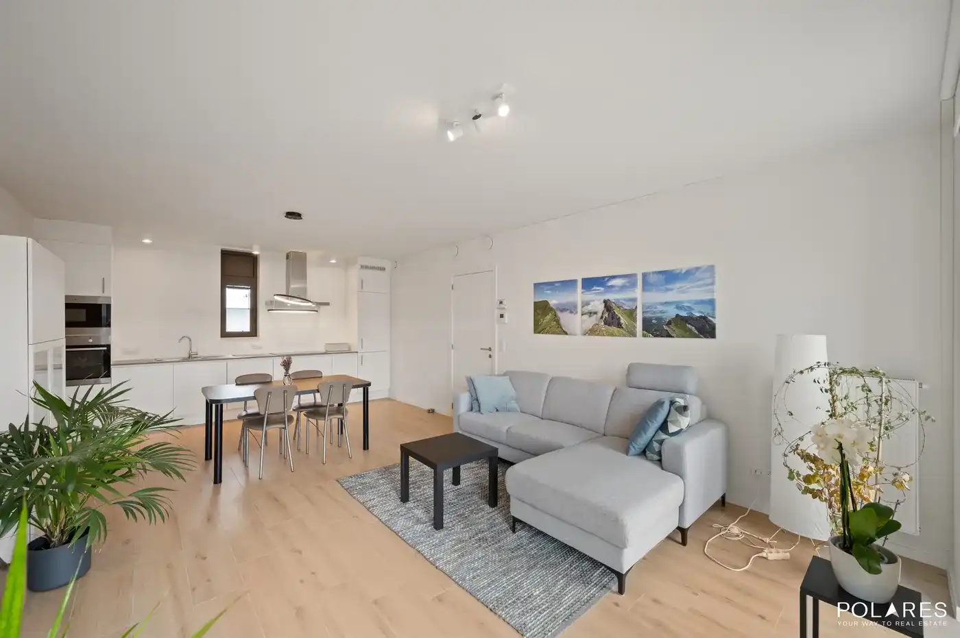Lichtrijk en energiezuinig appartement met zuidgericht terras foto 5