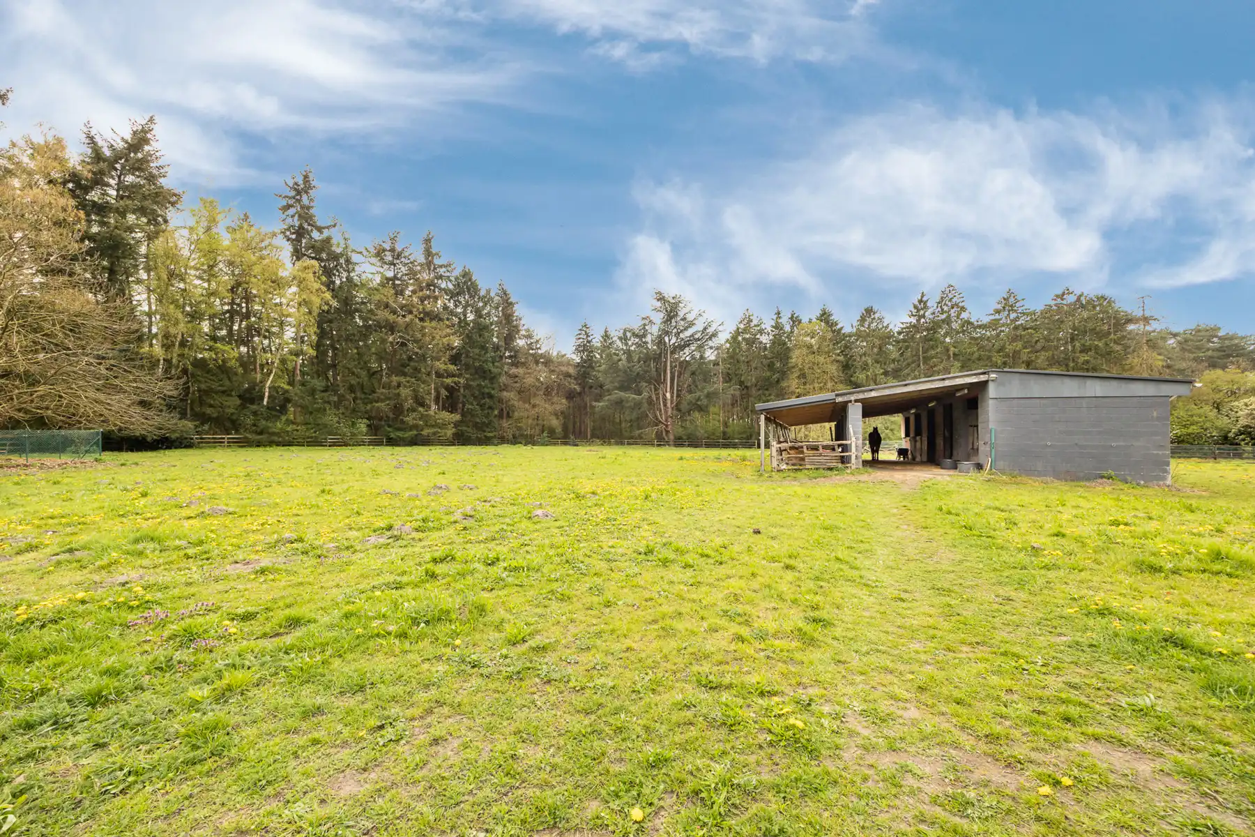 GELIJKVLOERSE WONING, IDAAL VOOR PAARDENLIEFHEBBERS foto 13
