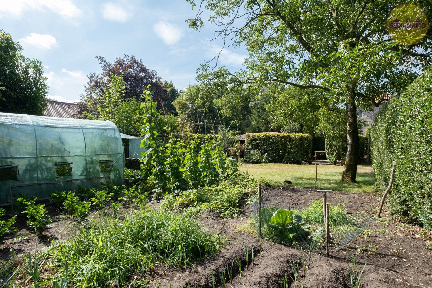Gelijkvloerse woning op groen en landelijk perceel van 13a22 te Geel foto 16