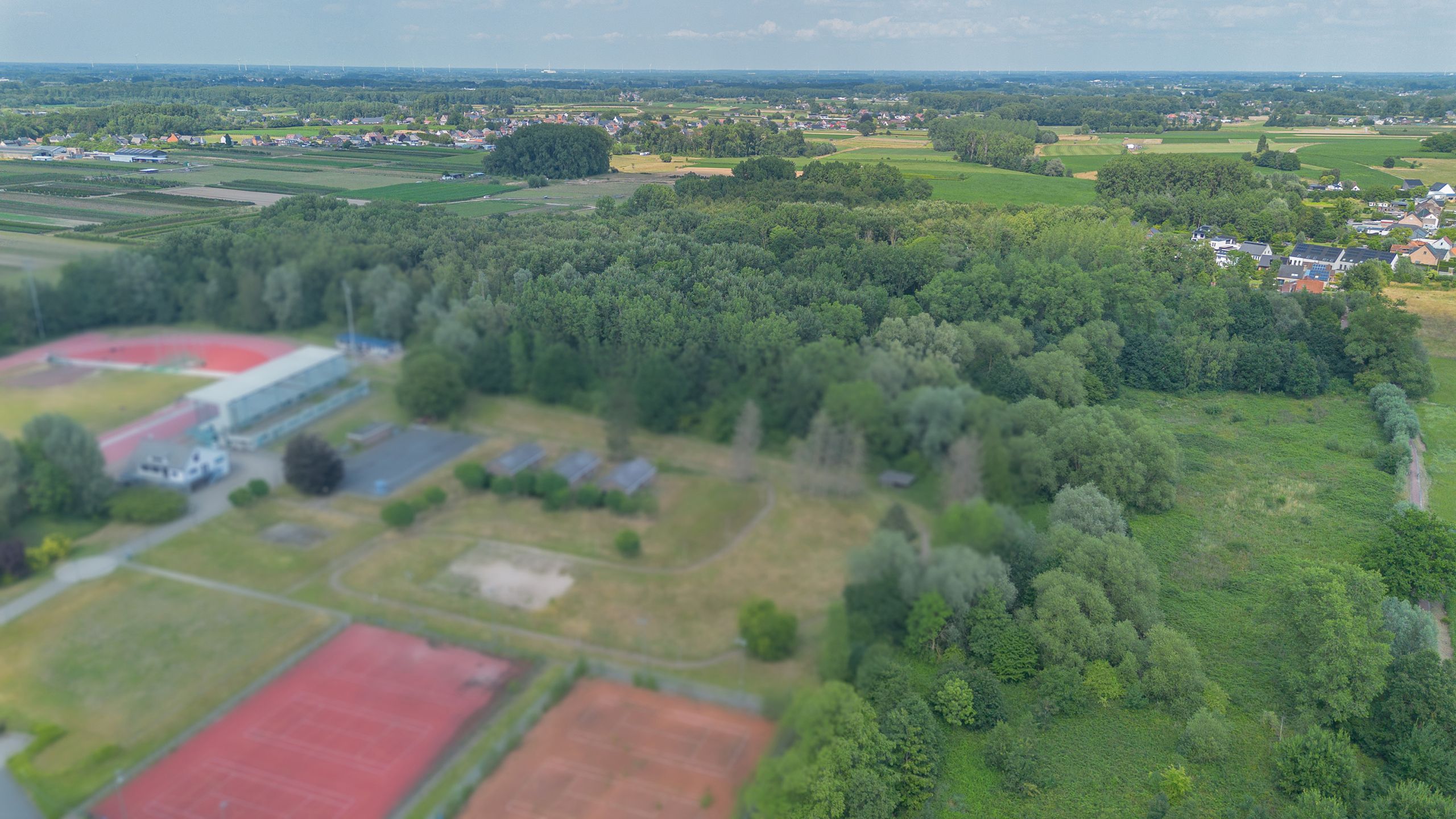 OORDEGEM - bos 2ha 21ca foto 11
