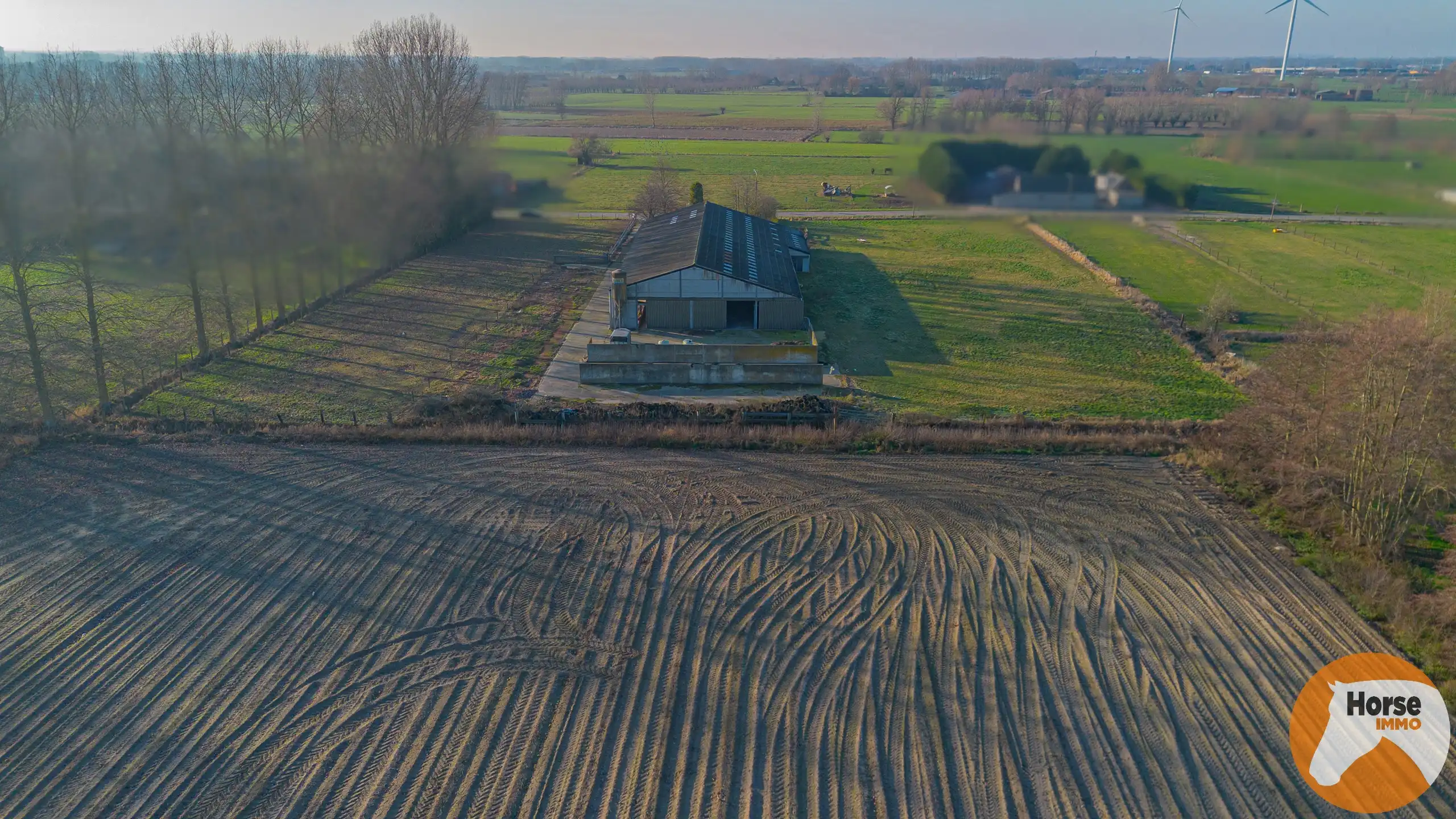 LAARNE- &nbsp;Landbouweigendom met geïntegreerde woning&nbsp; foto 32