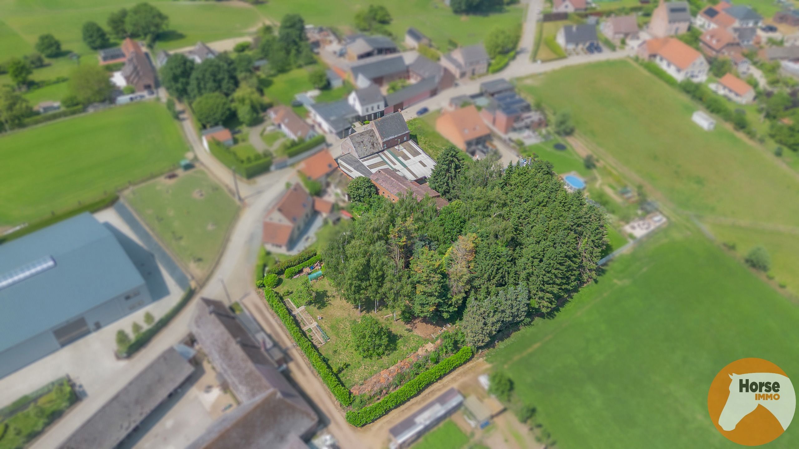 ST-L-ESSE - Ruime burgerwoning met achterliggende ateliers foto 3