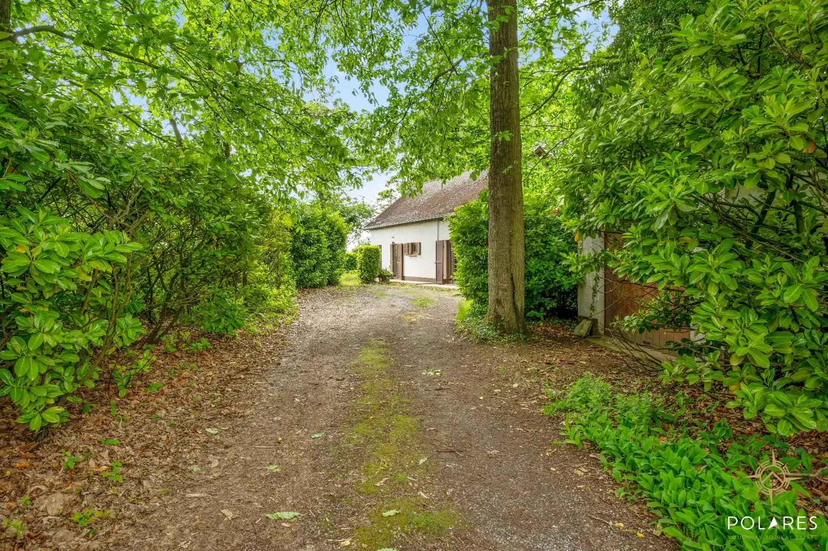 Charmante vrijstaande woning midden in het groen – unieke ligging op 27a 64ca foto 2