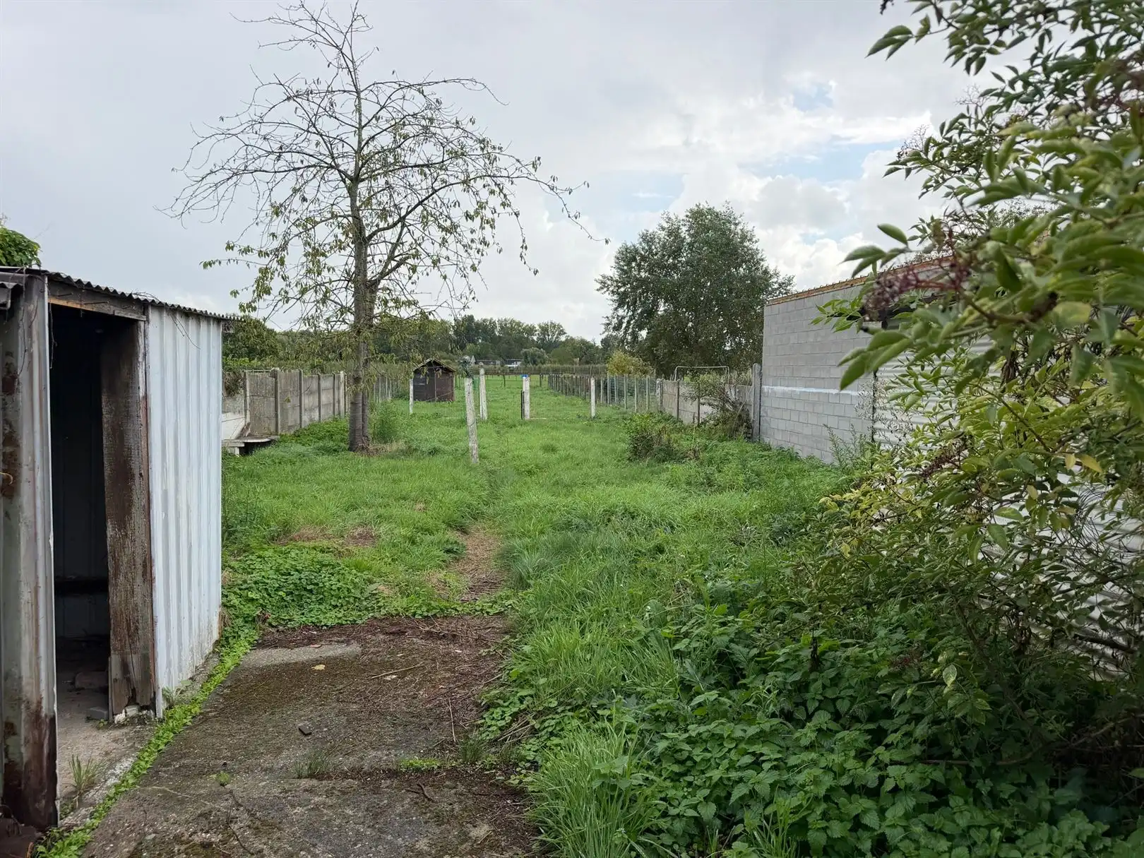 Huis foto 43