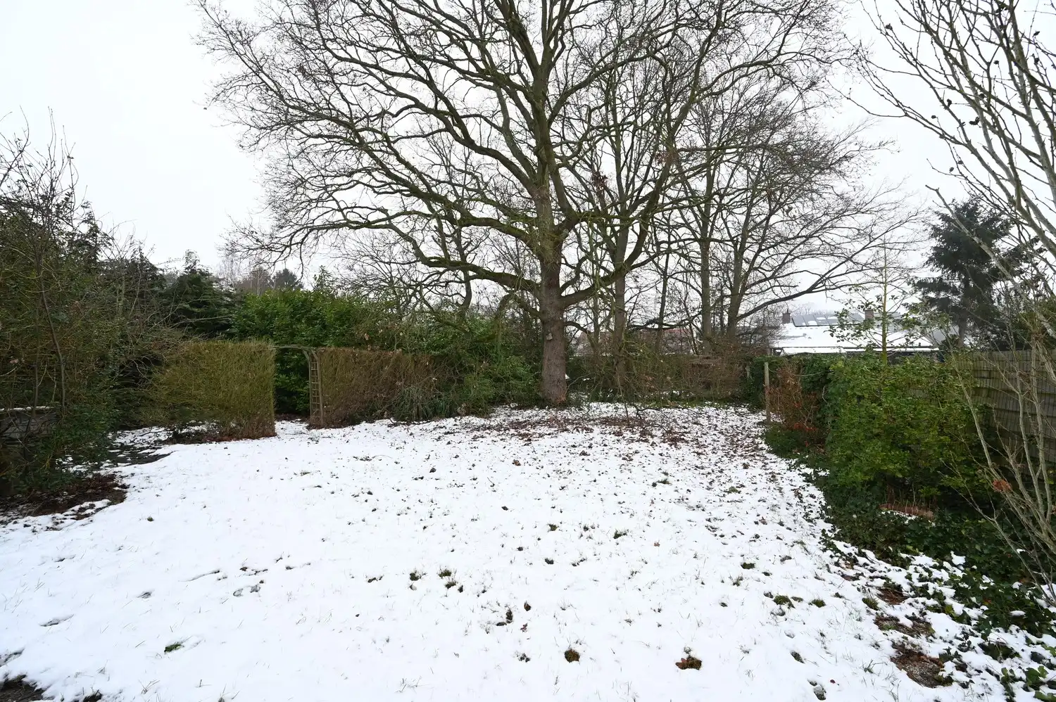 Projectgrond voor appartementen te centrum Begijnendijk. foto 15