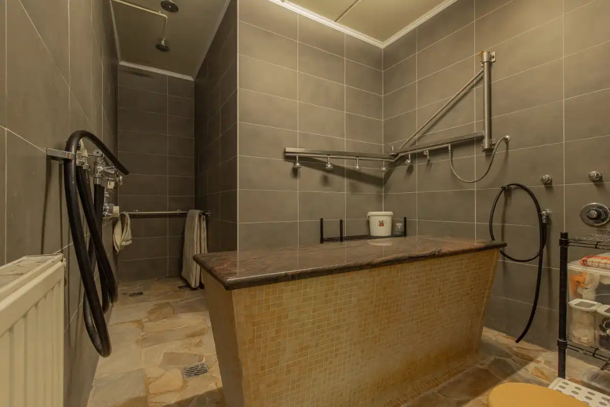 Commercieel te koop foto 10