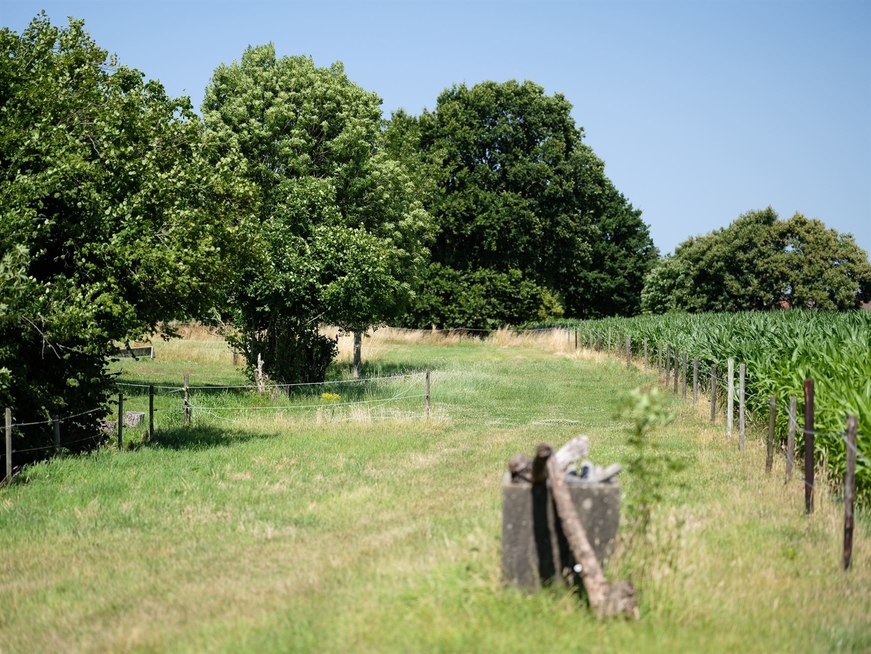 Hoeve voor landbouw foto 2