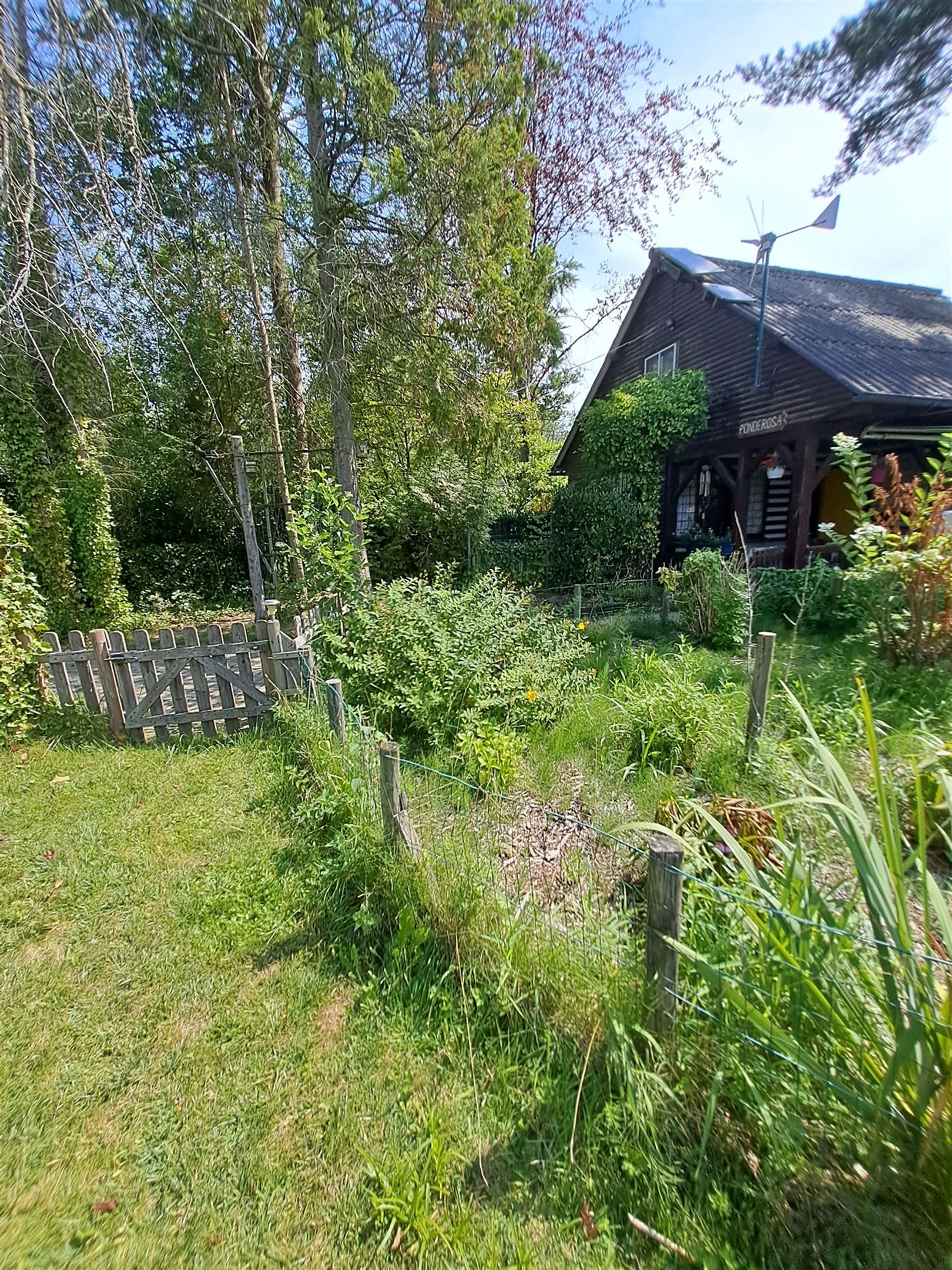 Vijver foto 2