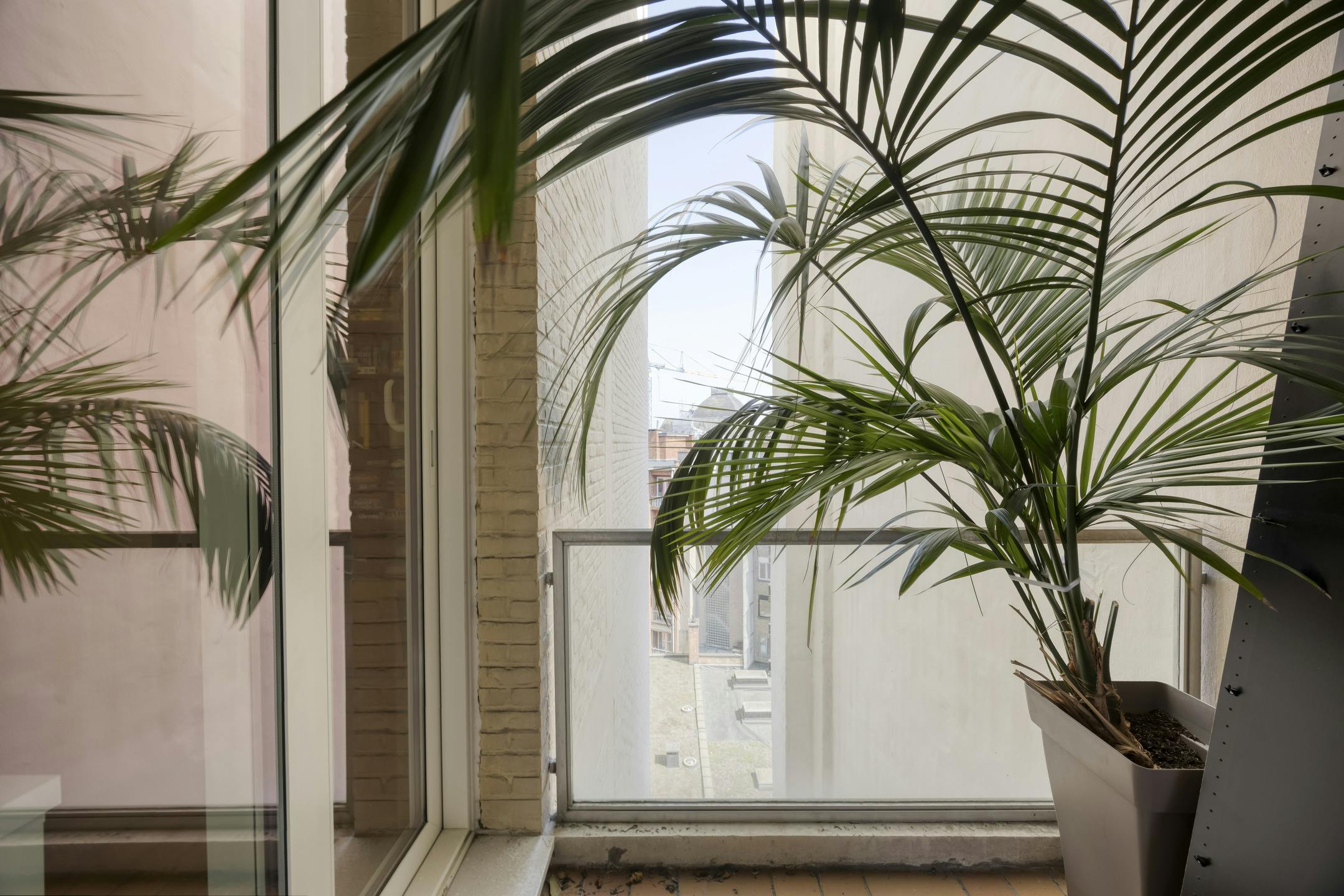 Uniek appartement met 3 slaapkamers te koop in Antwerpen foto 21