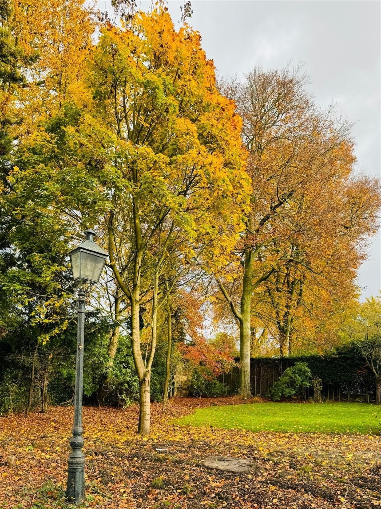 Charmevilla in Vriesdonk, als nieuw. foto 32