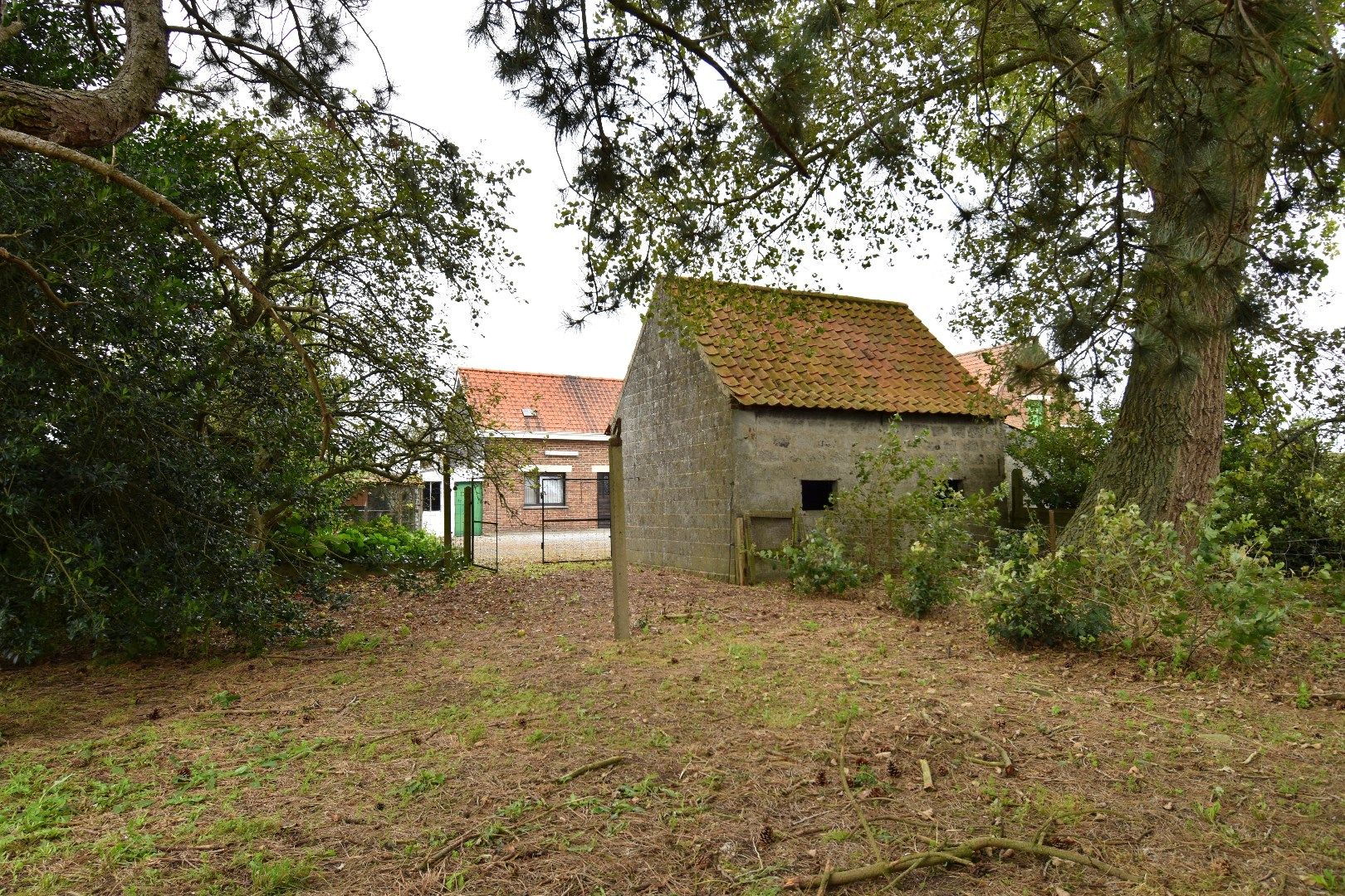 Hoeve op 11.106 m² te koop in het landelijke Spiere-Helkijn foto 6