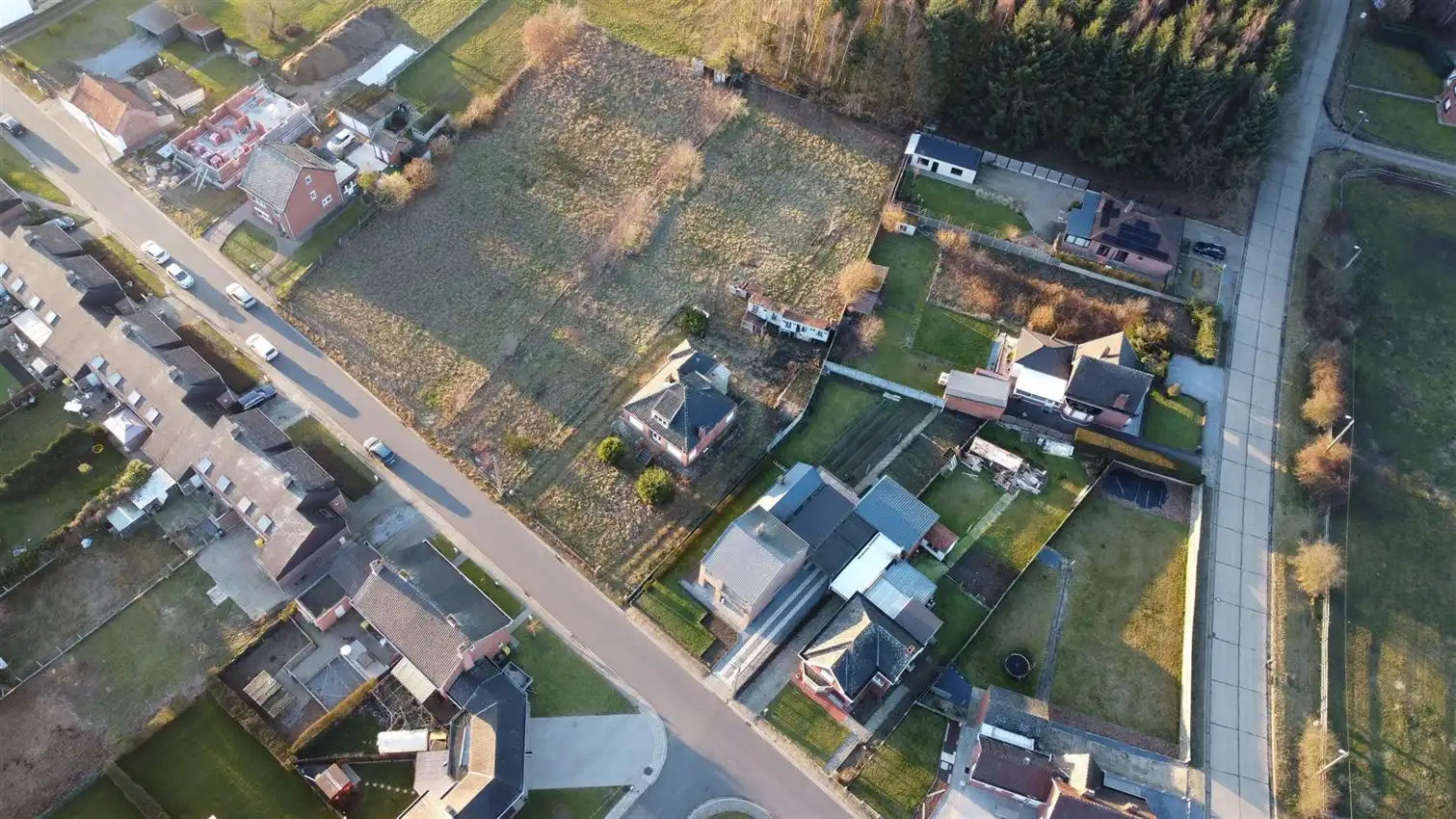 Project voor 2 HOB met weiland op 23are93 foto 21