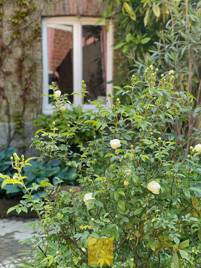 Karakterpand uit de late jaren ‘20 met zongerichte tuinpatio’s en authentiek achterhuis, onbetaalbaar uitzicht op een historische kloostertuin foto 8
