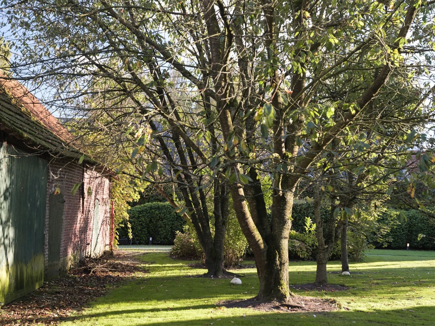 Schitterend gerenoveerde hoeve met schuren foto 19