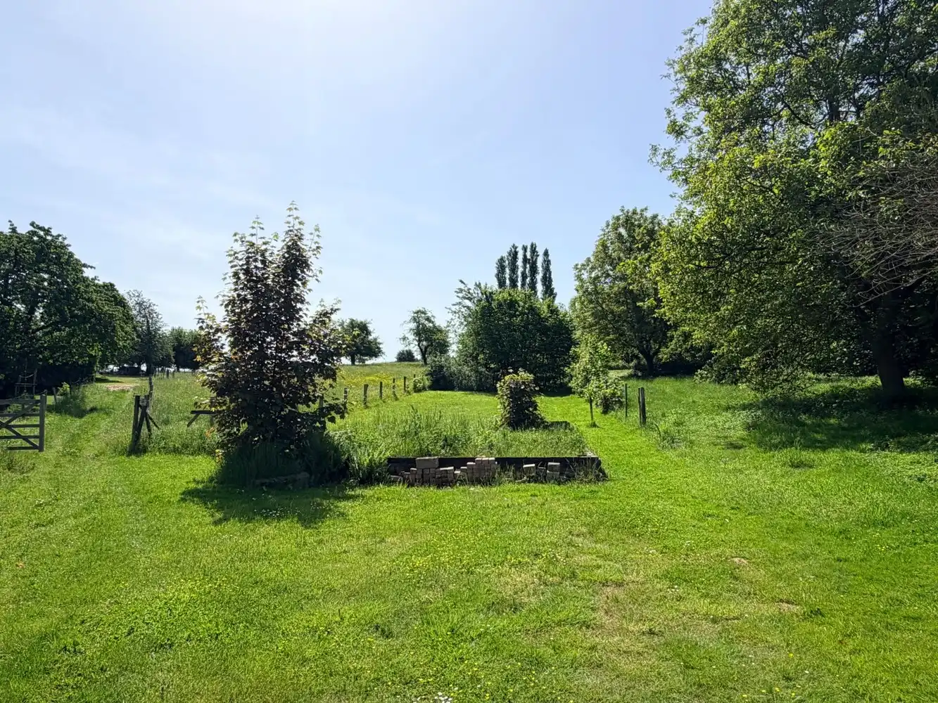 Charmante te renoveren woning op een perceel van ca. 15 are met zuidgerichte tuin foto 24