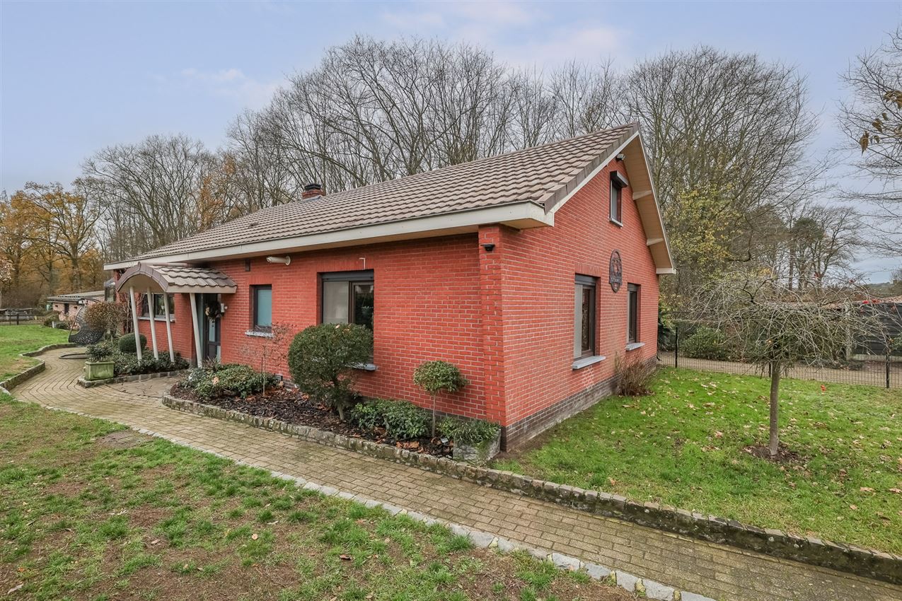 Rustig gelegen woning met weiland en stallen foto 5