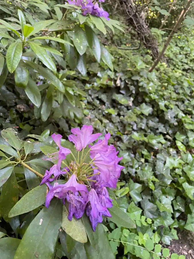 Nieuwbouw twee-slaapkamer appartement foto 40