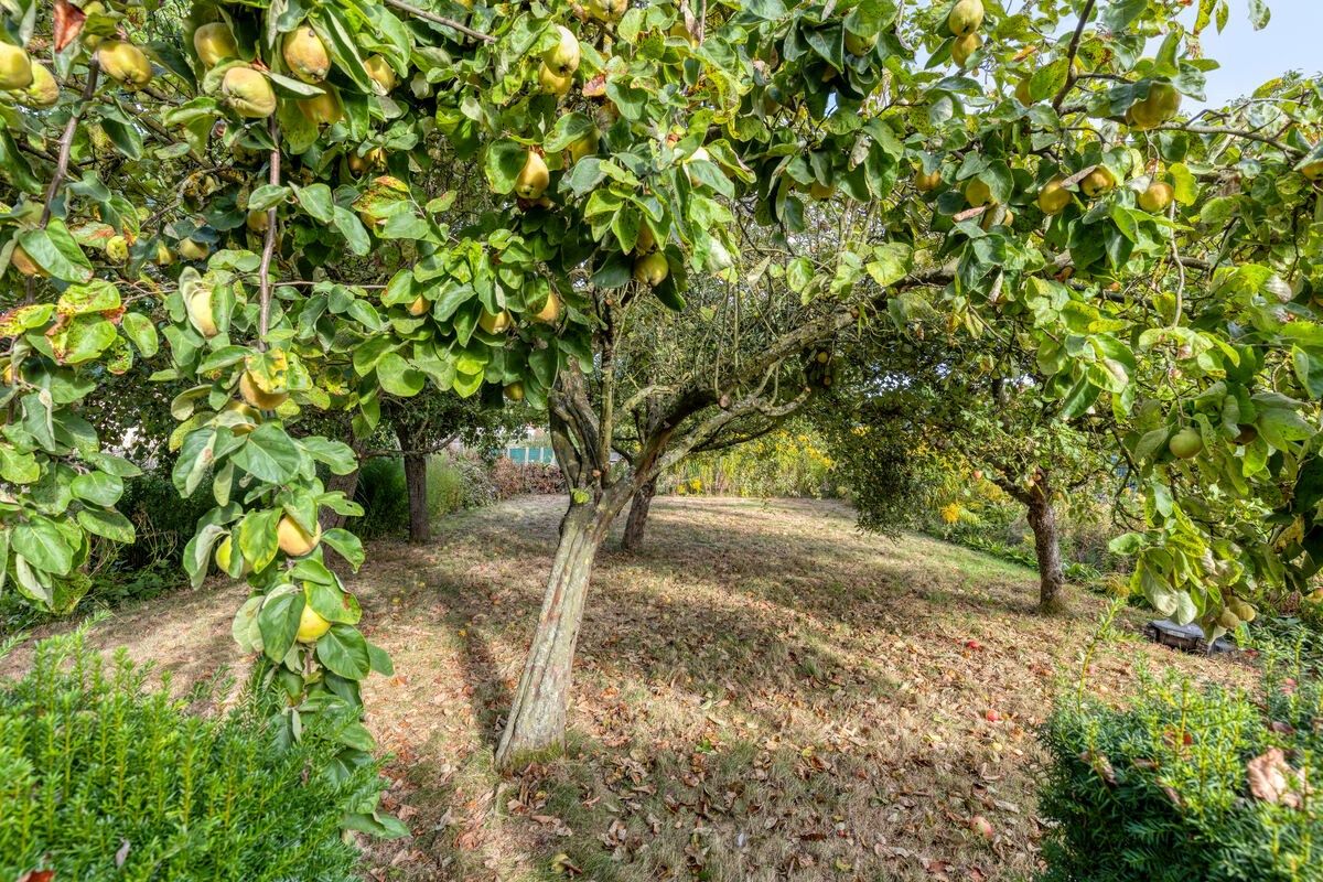 Halfopen bebouwing met prachtige tuin in Brakel foto 16