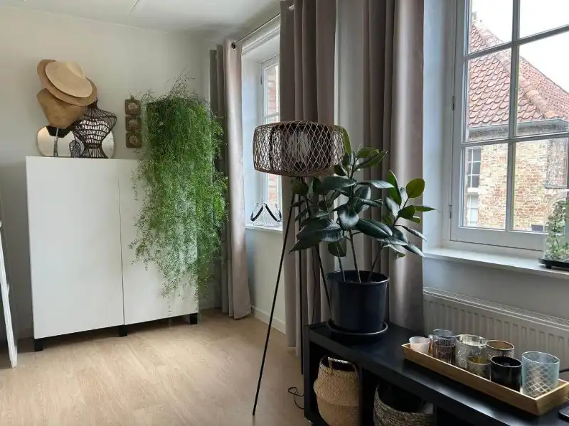 Comfortabele Bel-etage woning met 3 slaapkamers, GARAGE en STADSTERRAS te huur in Brugge foto 5