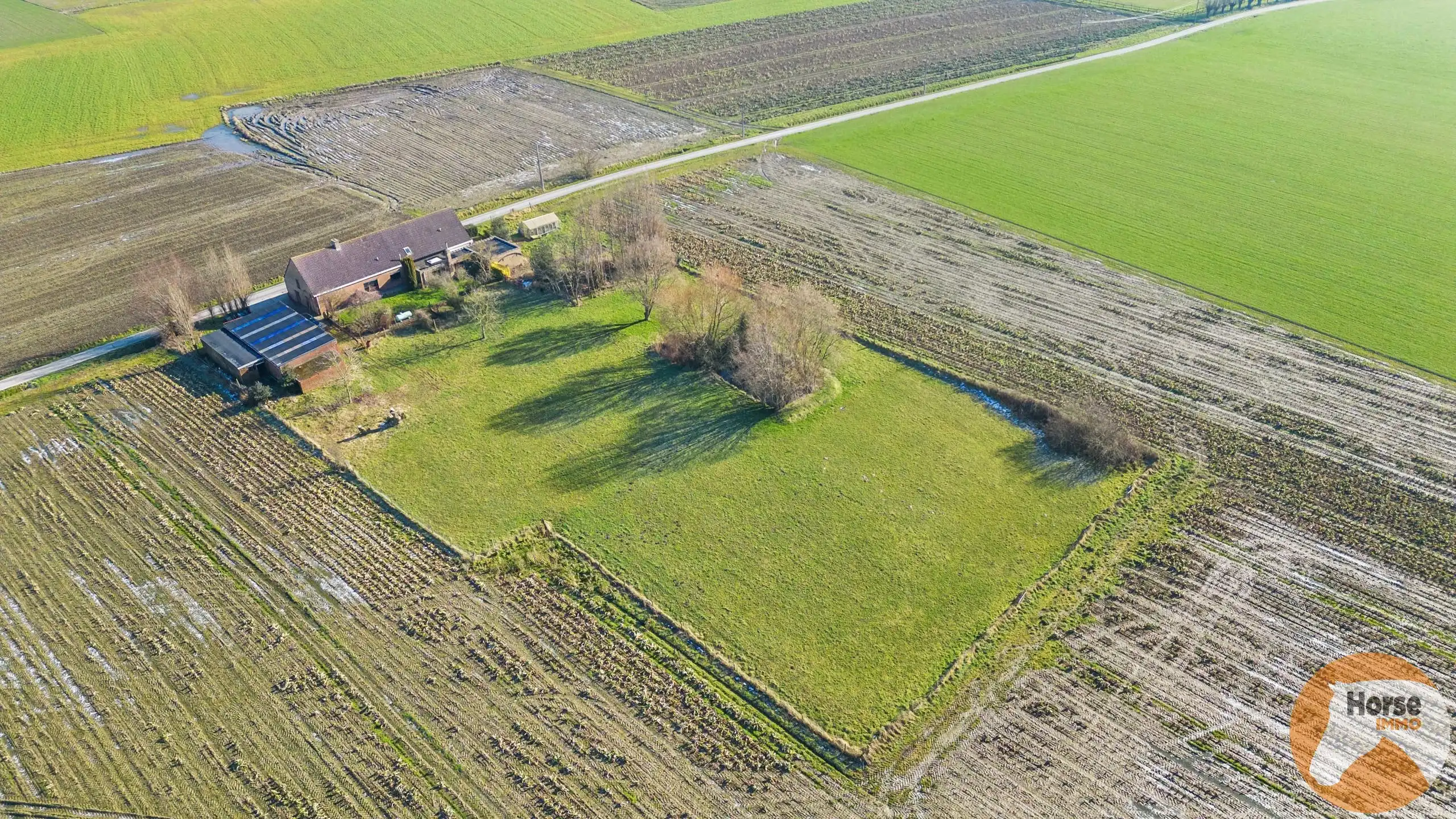 TORHOUT - Landelijk gelegen te renoveren langgevelwoning foto 4