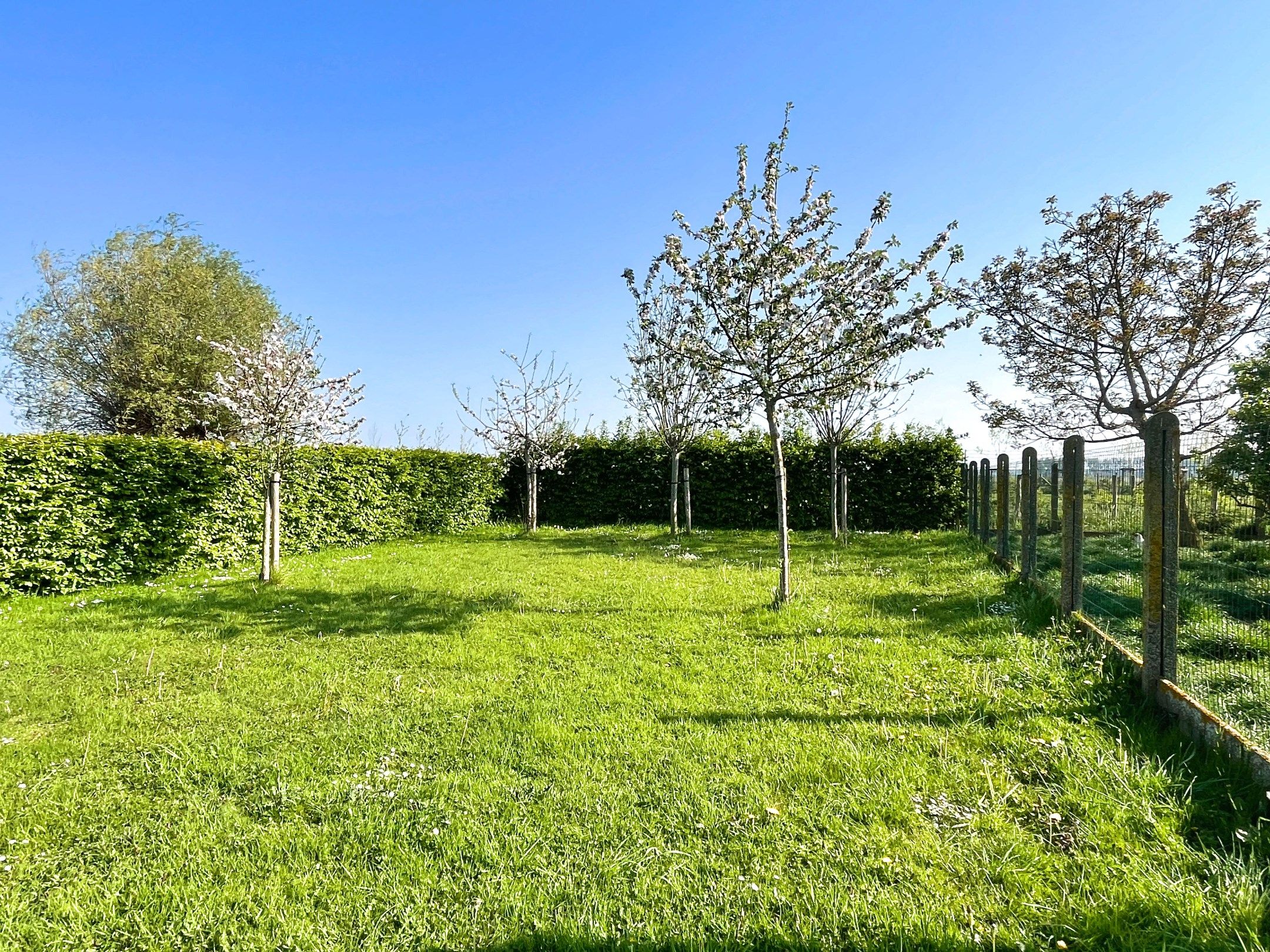 Landelijk huis met een grote tuin te Knokke-Heist foto 11