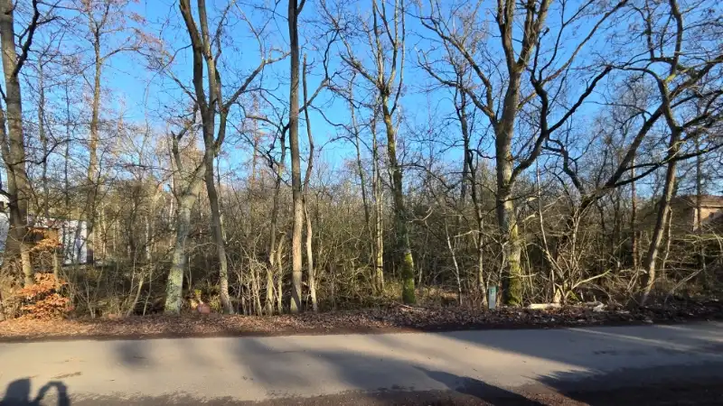 Bouwgrond van 12 are met perceelsbreedte van 24 meter foto {{pictureIndex}}