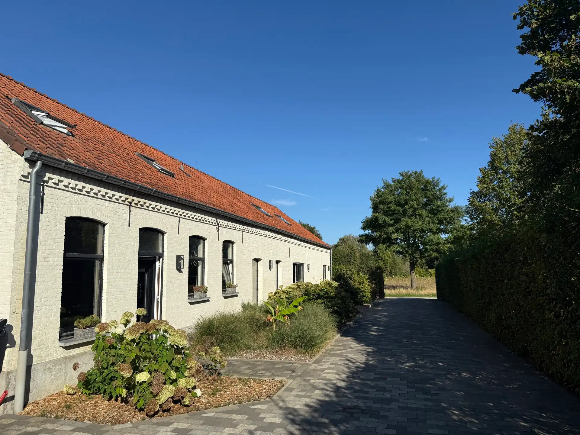 HAM - Langgevelhoeve met stallen en piste foto 29