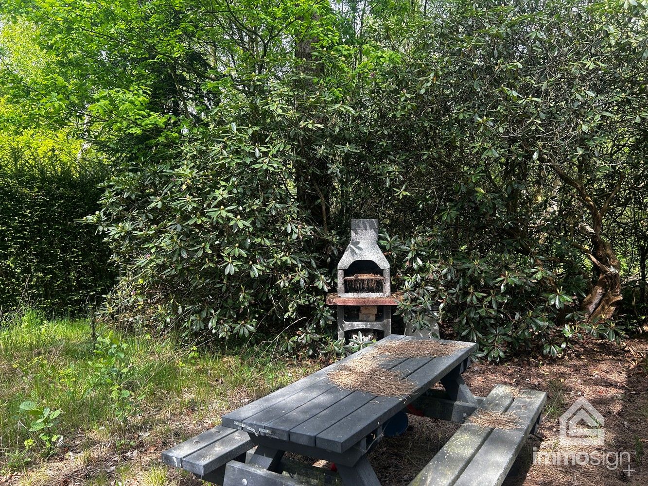 Uniek stukje natuurgebied van 1.470 m² gelegen te Hamont-Achel! foto 7