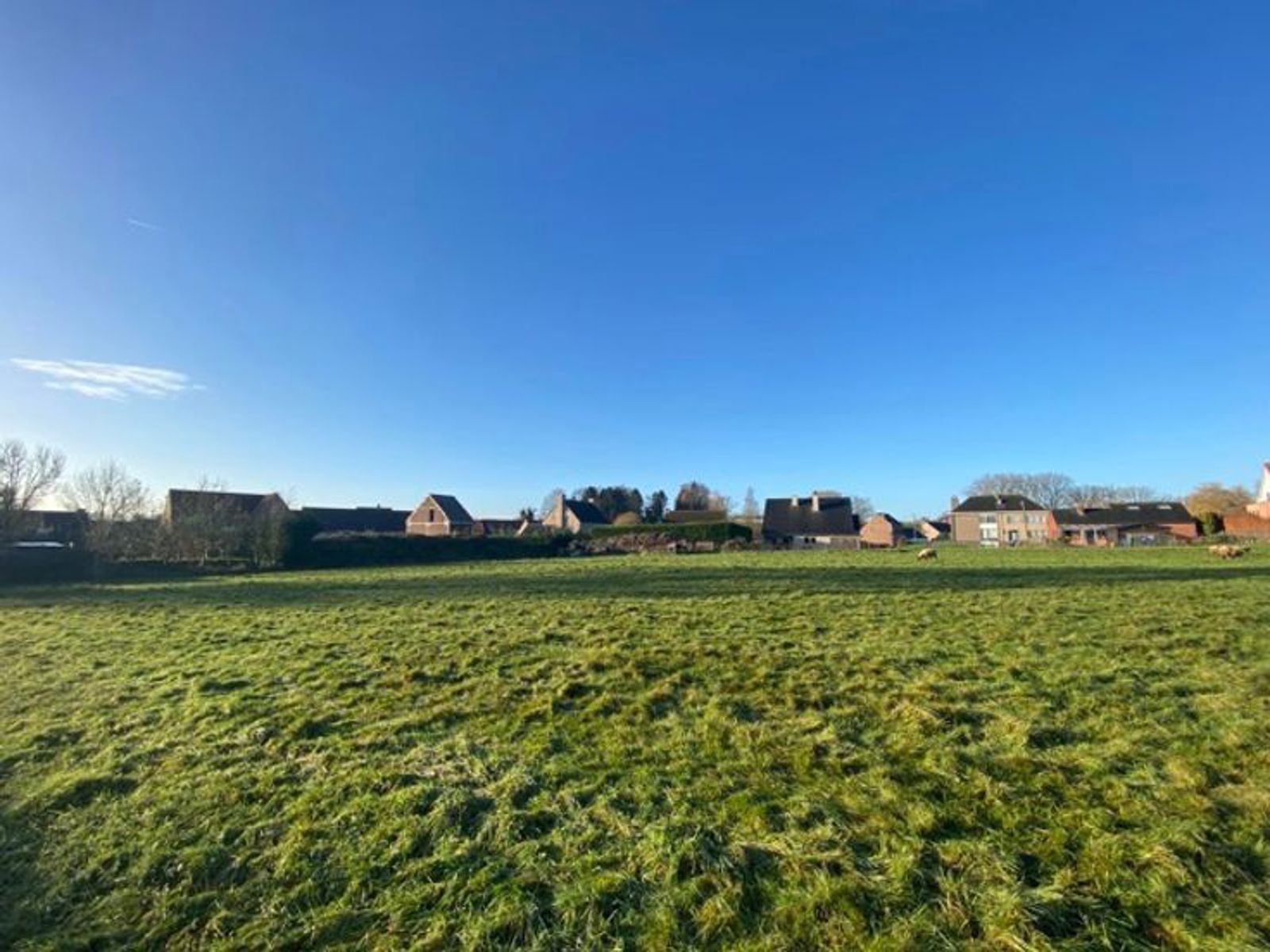 5 vrijstaande woningen in Grimbergen foto 5