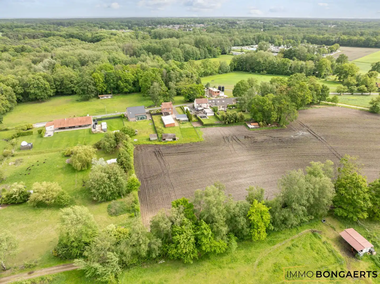 Rustig gelegen woning op uitzonderlijk perceel van 7.700 m² foto 27