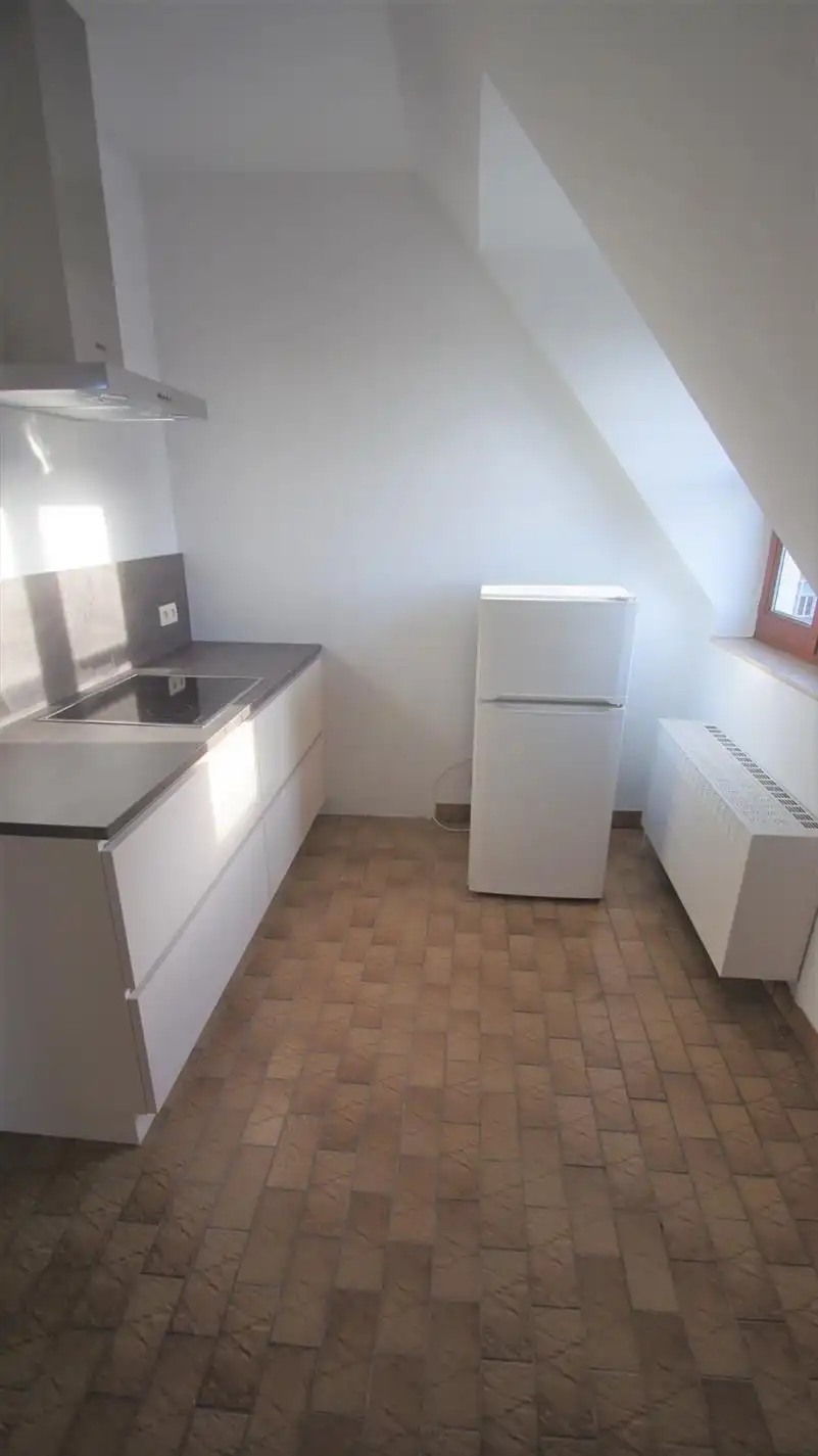 Zeer goed gelegen dakappartement met 2 ruime slpks foto 4